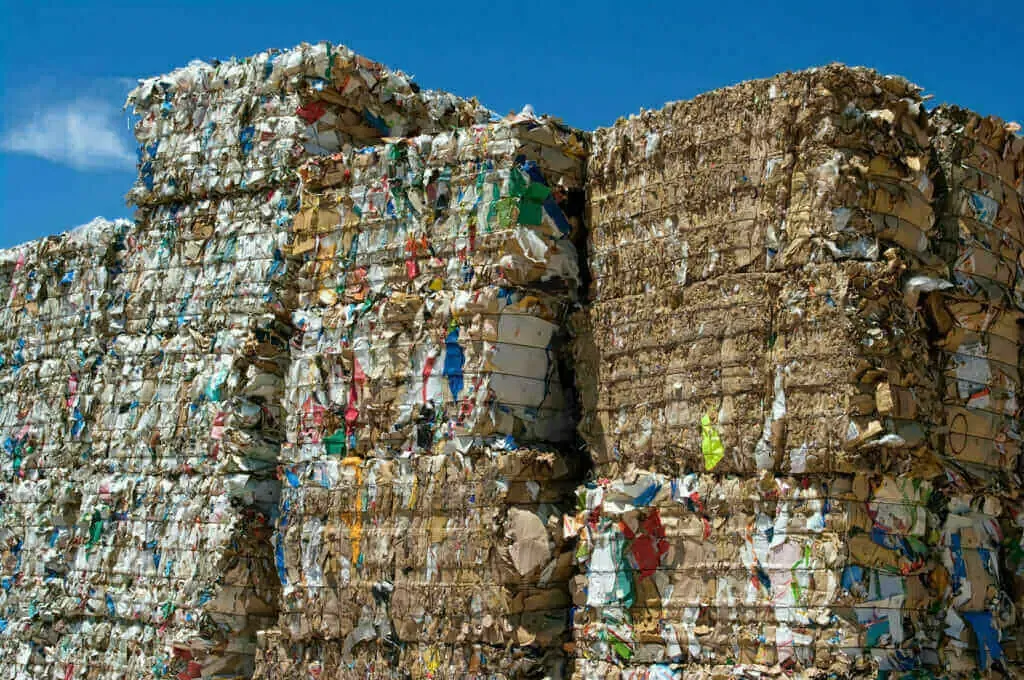 4 Reasons to Kickstart Your Company’s Recycling Program