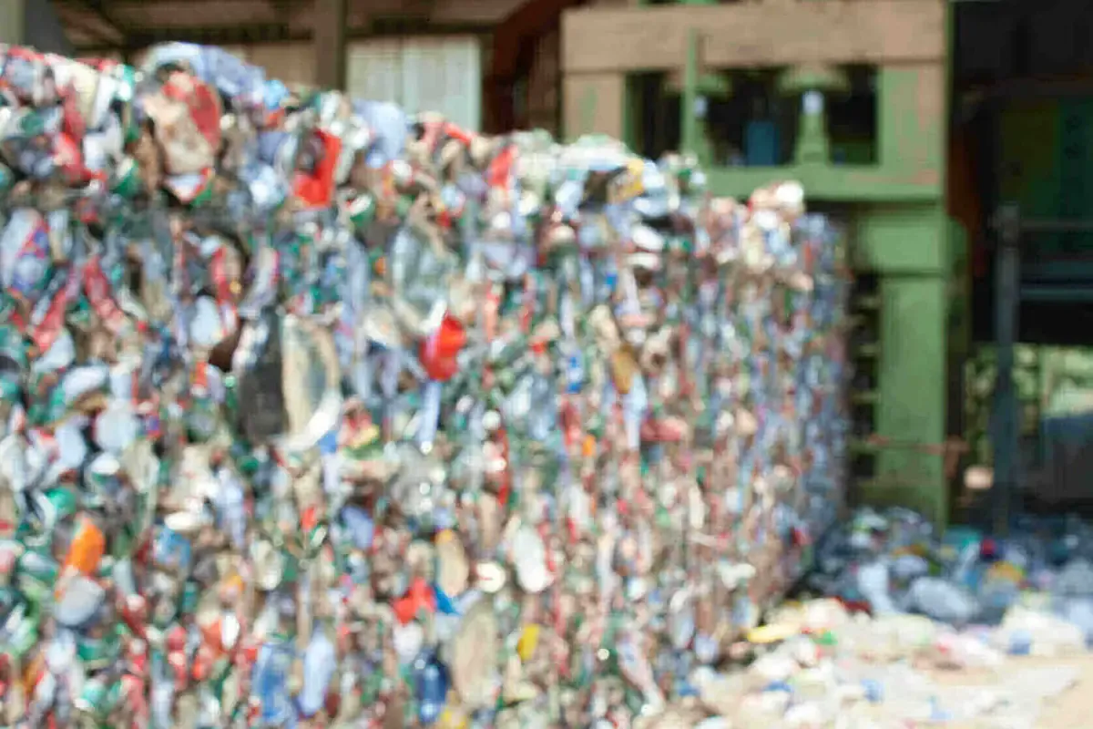 How To Start A Recycling Program At Your Company