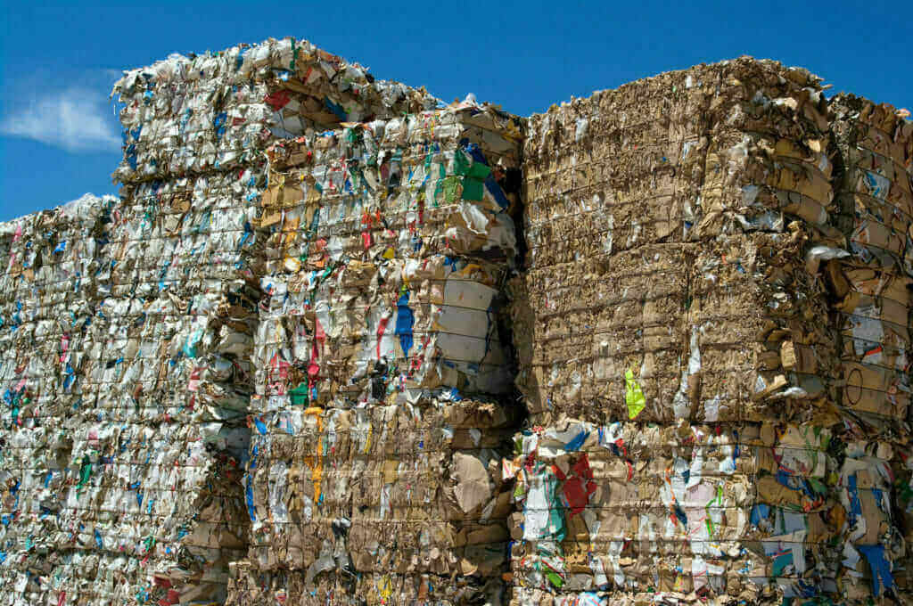 Featured image for “4 Reasons to Kickstart Your Company’s Recycling Program”